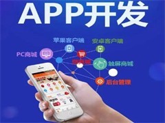 武汉系统软件开发与商城系统CRM开发