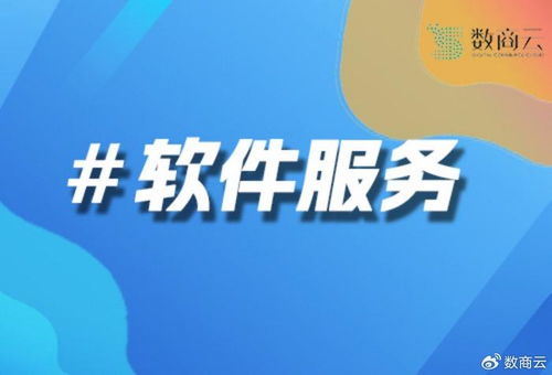 西南地区软件开发服务商怎么选——数商云三大核心优势解析